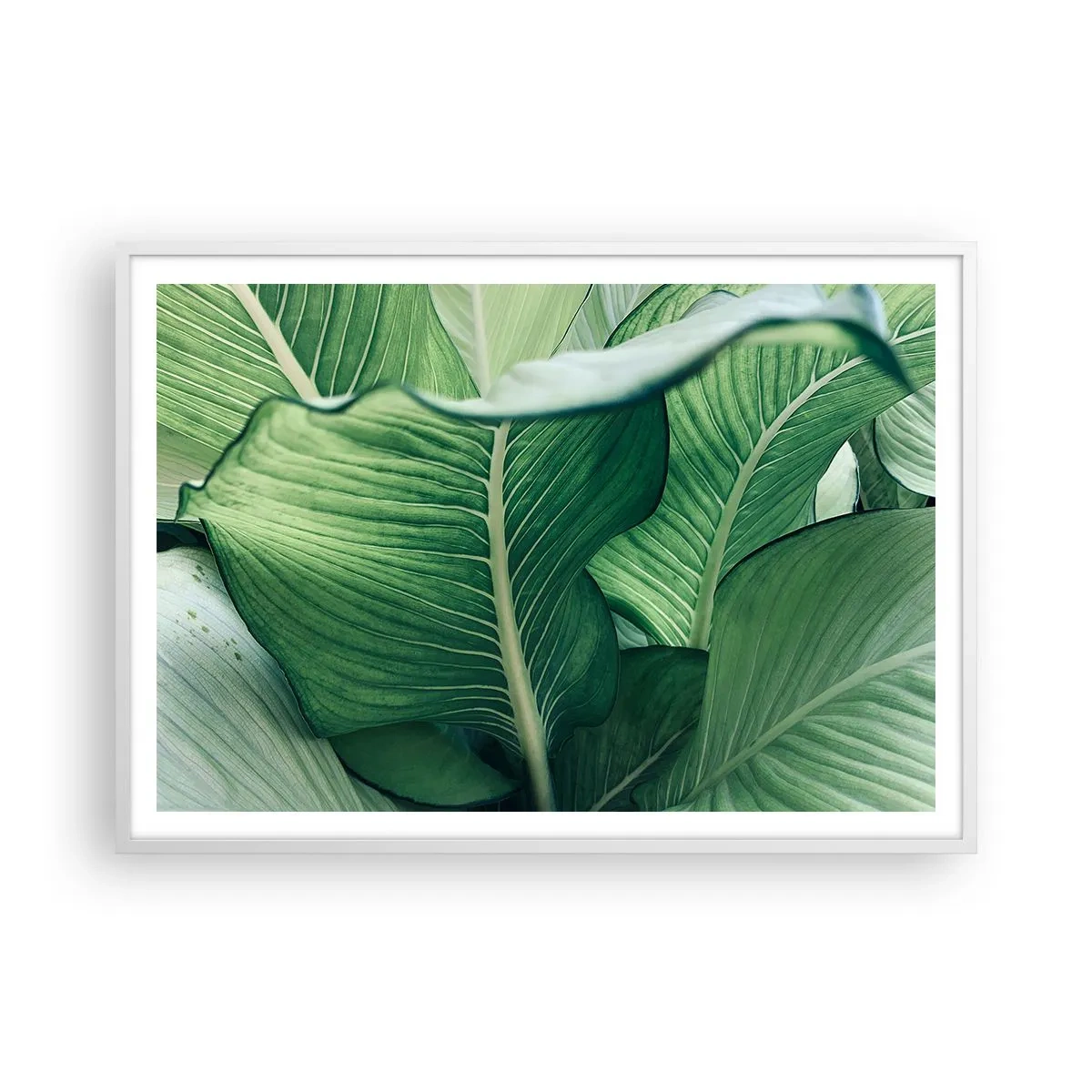 Plagát v bielom ráme - Intenzívne zelený život - 100x70 cm