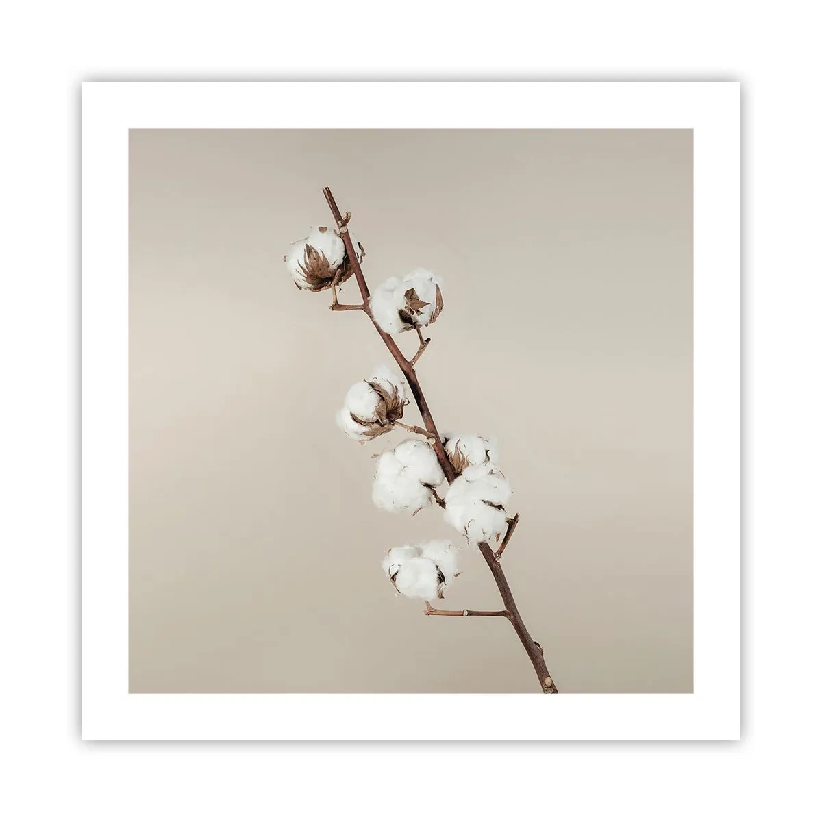 Plagát - Pri zdroji mäkkosti - 50x50 cm