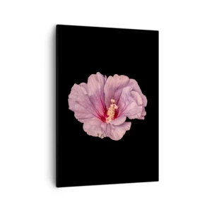 Obraz na plátne - Priamo do srdca - 50x70 cm