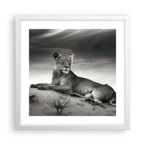 Plagát v bielom ráme - Odpočinok kráľovnej púšte - 40x40 cm