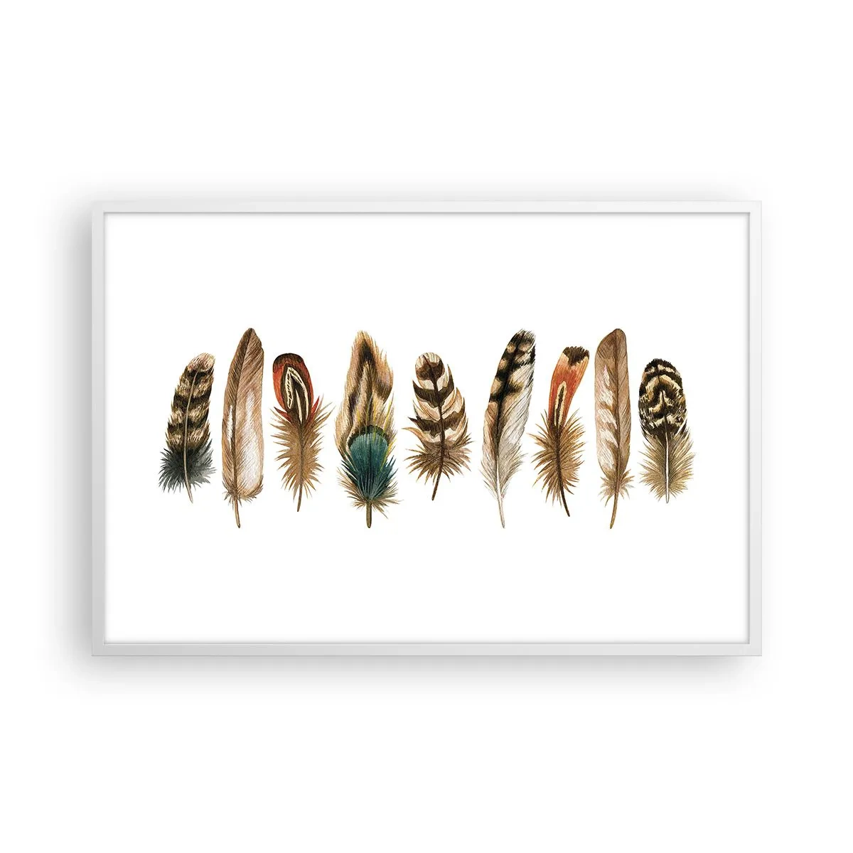 Plagát v bielom ráme - Operená variácia - 91x61 cm