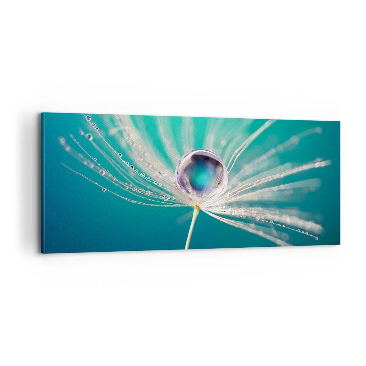 Obraz na plátne - Mystický okamih - 100x40 cm