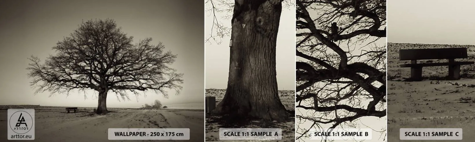 Vzorka samolepiacej fototapety Deluxe Sticker - Odtiaľ až do večnosti - Krajina, Strom, Príroda - 100x30 cm