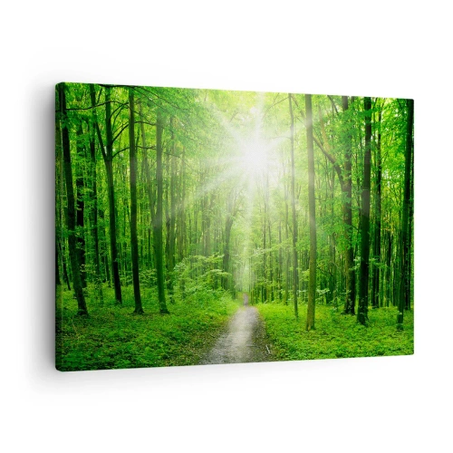 Obraz na plátne - Cesta v lese so slnečnými lúčmi - 70x50cm - Zelená katedrála - Moderná nástenná dekorácia do obývacej izby a spálne ARTTOR