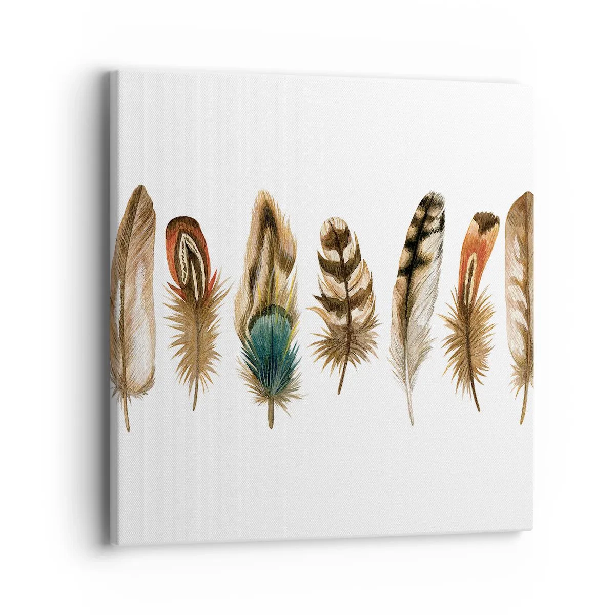 Obraz na plátne - Operená variácia - 40x40 cm