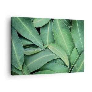Obraz na plátne - Detailný záber zelených listov vytvárajúcich prirodzený vzor - 70x50cm - Šťavnaté a svieže - Moderná nástenná dekorácia do obývacej izby a spálne ARTTOR