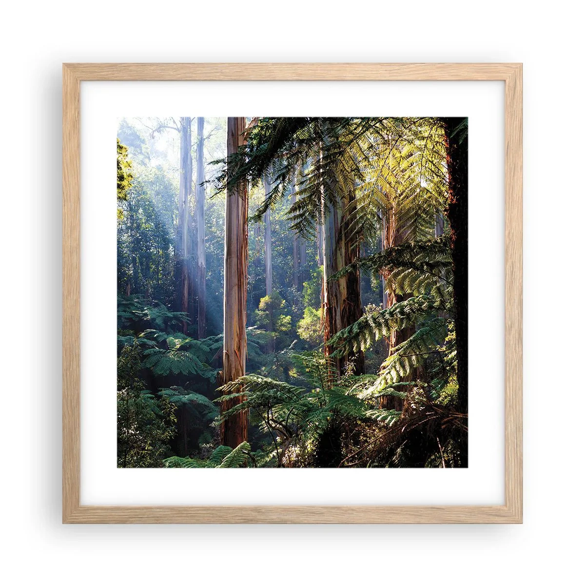 Plagát v ráme zo svetlého duba - Poviedka lesa - 40x40 cm