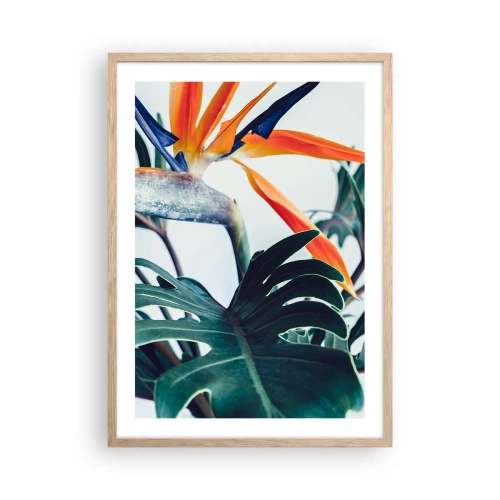 Plagát v ráme zo svetlého duba - Vtáker - 50x70 cm