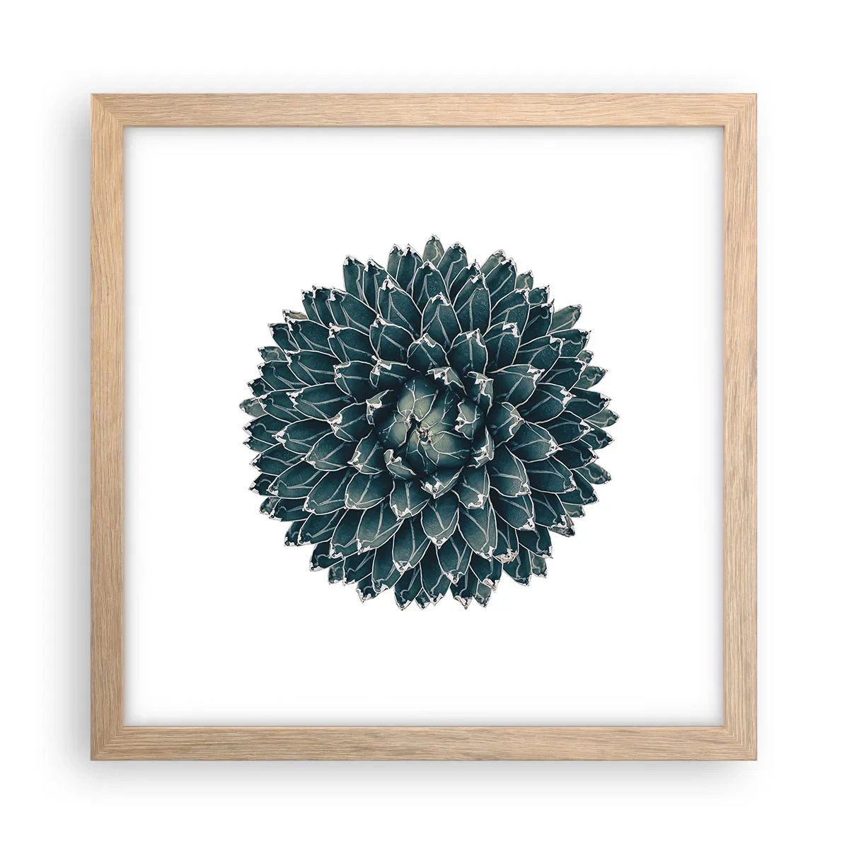 Plagát v ráme zo svetlého duba - Hviezda púšte - 30x30 cm