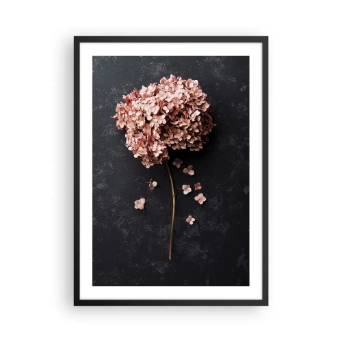Plagát v čiernom ráme - Sušená hortenzia na čiernom pozadí - 50x70cm - Skutočne romantické znamenie - Moderná nástenná dekorácia do obývacej izby a spálne ARTTOR