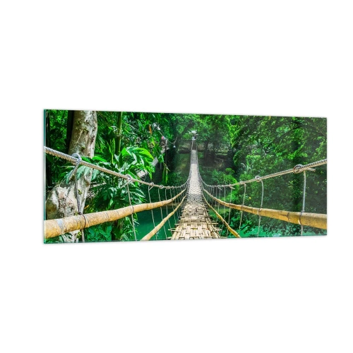 Obraz na skle - Opičí most nad zeleňou - 100x40 cm