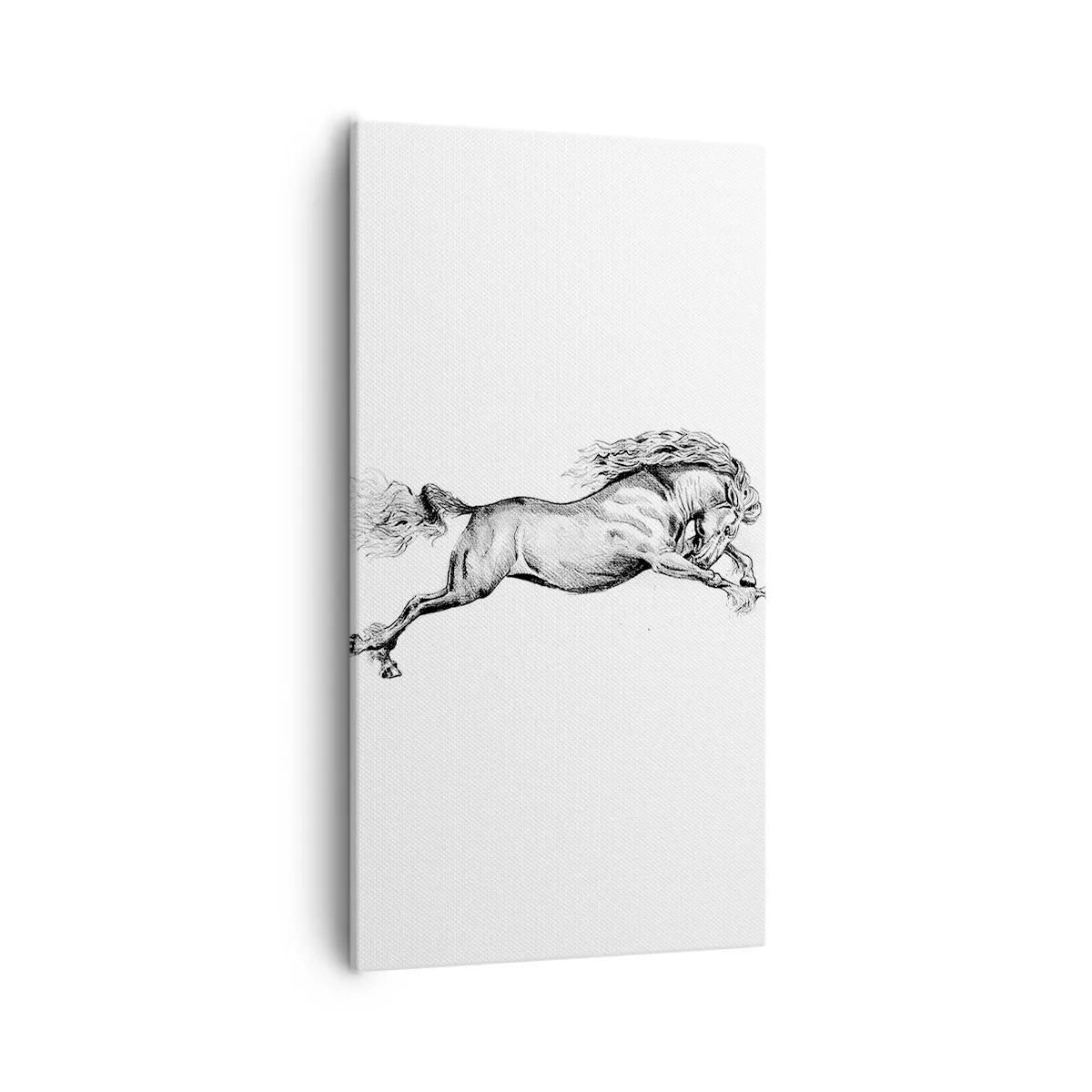 Obraz na plátne - Zastavený v cvale - 55x100 cm