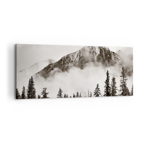 Obraz na plátne - Žulový panovník - 120x50 cm