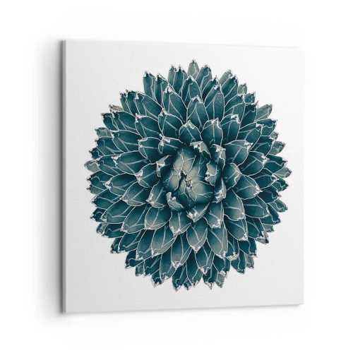 Obraz na plátne - Hviezda púšte - 50x50 cm