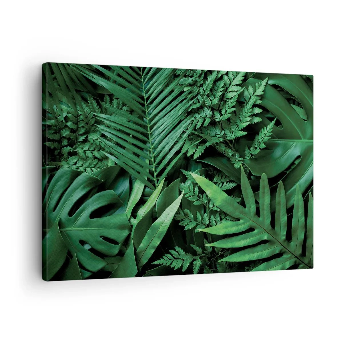 Obraz na plátne - Zelené tropické listy v hustom a prirodzenom zložení - 70x50cm - Objaté v zeleni - Moderná nástenná dekorácia do obývacej izby a spálne ARTTOR