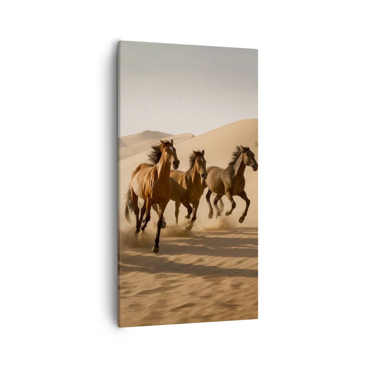 Obraz na plátne - Voľné ako vietor - 55x100 cm