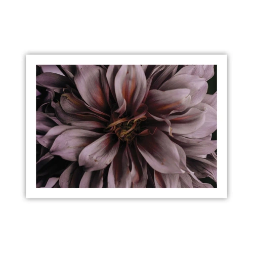 Plagát - Kvetinové srdce - 70x50 cm