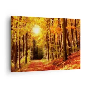 Obraz na plátne - Jesenný les so slnečnými lúčmi presvitajúcimi cez stromy - 70x50cm - Zlatá jeseň na lesnej ceste - Moderná nástenná dekorácia do obývacej izby a spálne ARTTOR