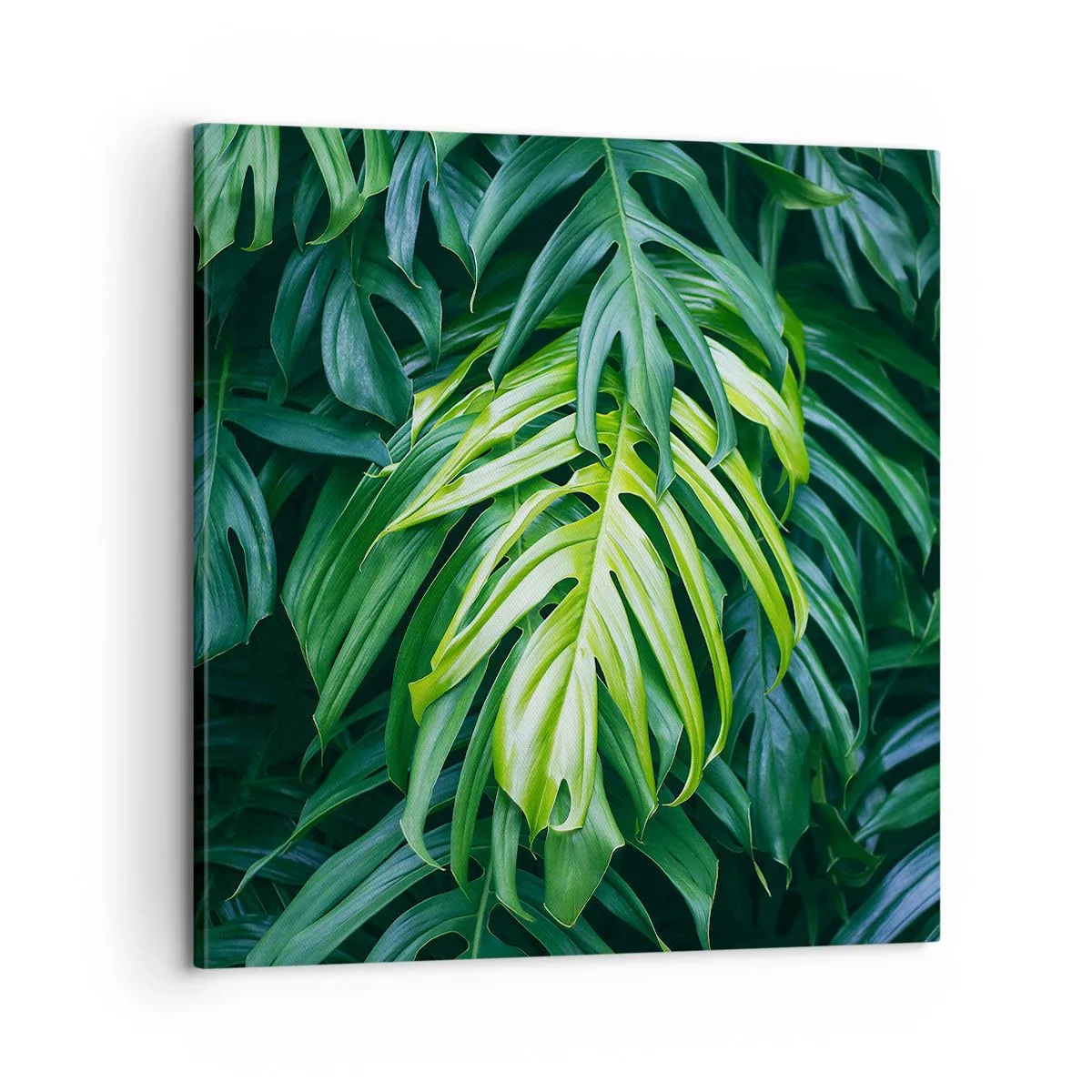 Obraz na plátne - Ponoriť sa do sviežosti - 60x60 cm