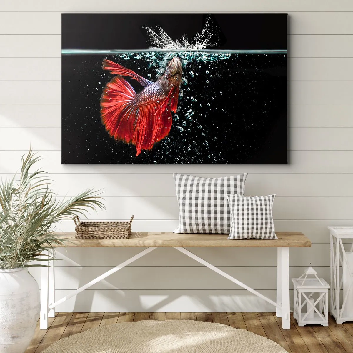 Obraz na plátne - Nádherná betta vo vode na tmavom pozadí - 70x50cm - Máš tri priania - Moderná nástenná dekorácia do obývacej izby a spálne ARTTOR