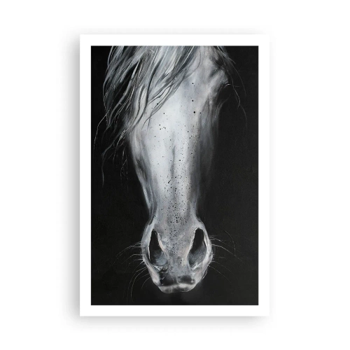 Plagát - Zvodný pohľad - 61x91 cm