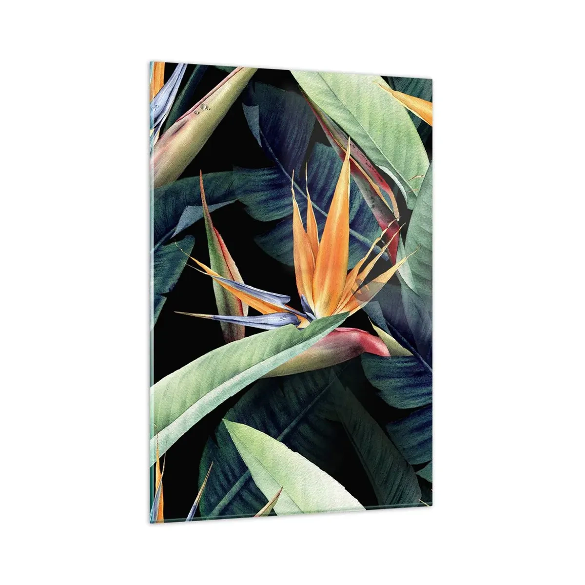 Obraz na skle - Plamenné kvety trópov - 80x120 cm