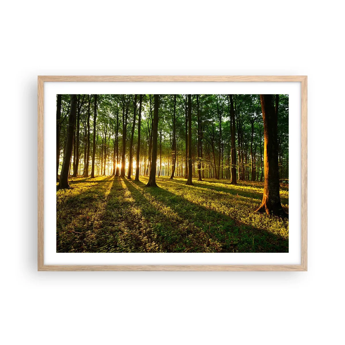 Plagát v ráme zo svetlého duba - Fotografie všetkých jarí - 70x50 cm