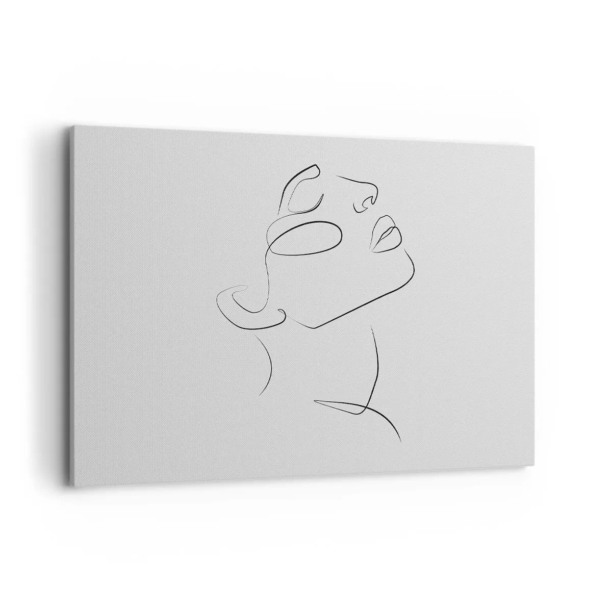 Obraz na plátne - Meandre sna - 120x80 cm