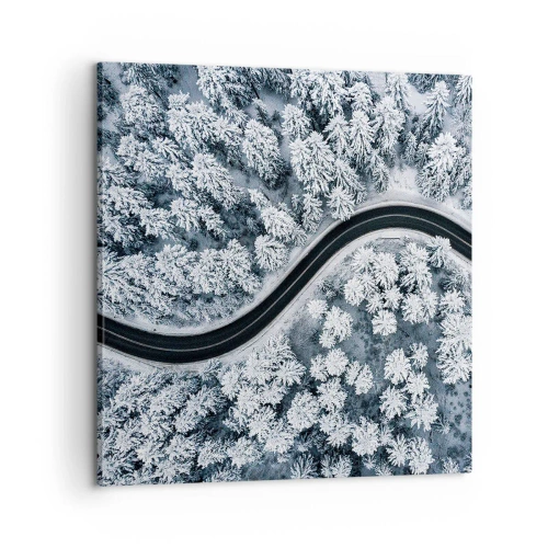 Obraz na plátne - Zimným lesom - 60x60 cm