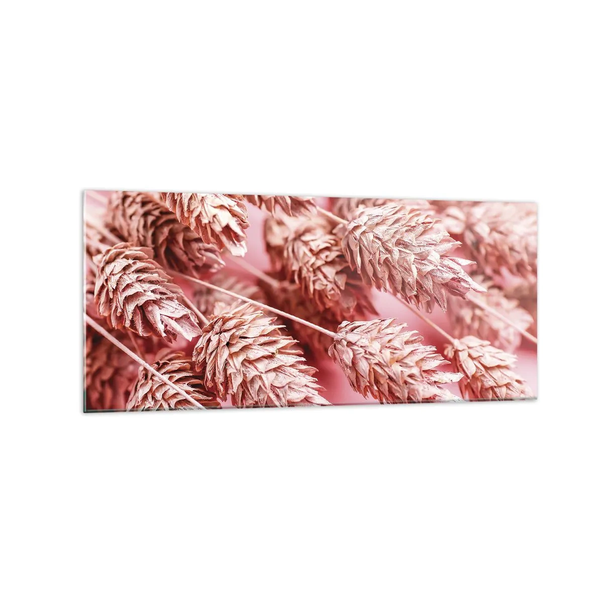 Obraz na skle - Kvetinová kaskáda v ružovej - 120x50 cm