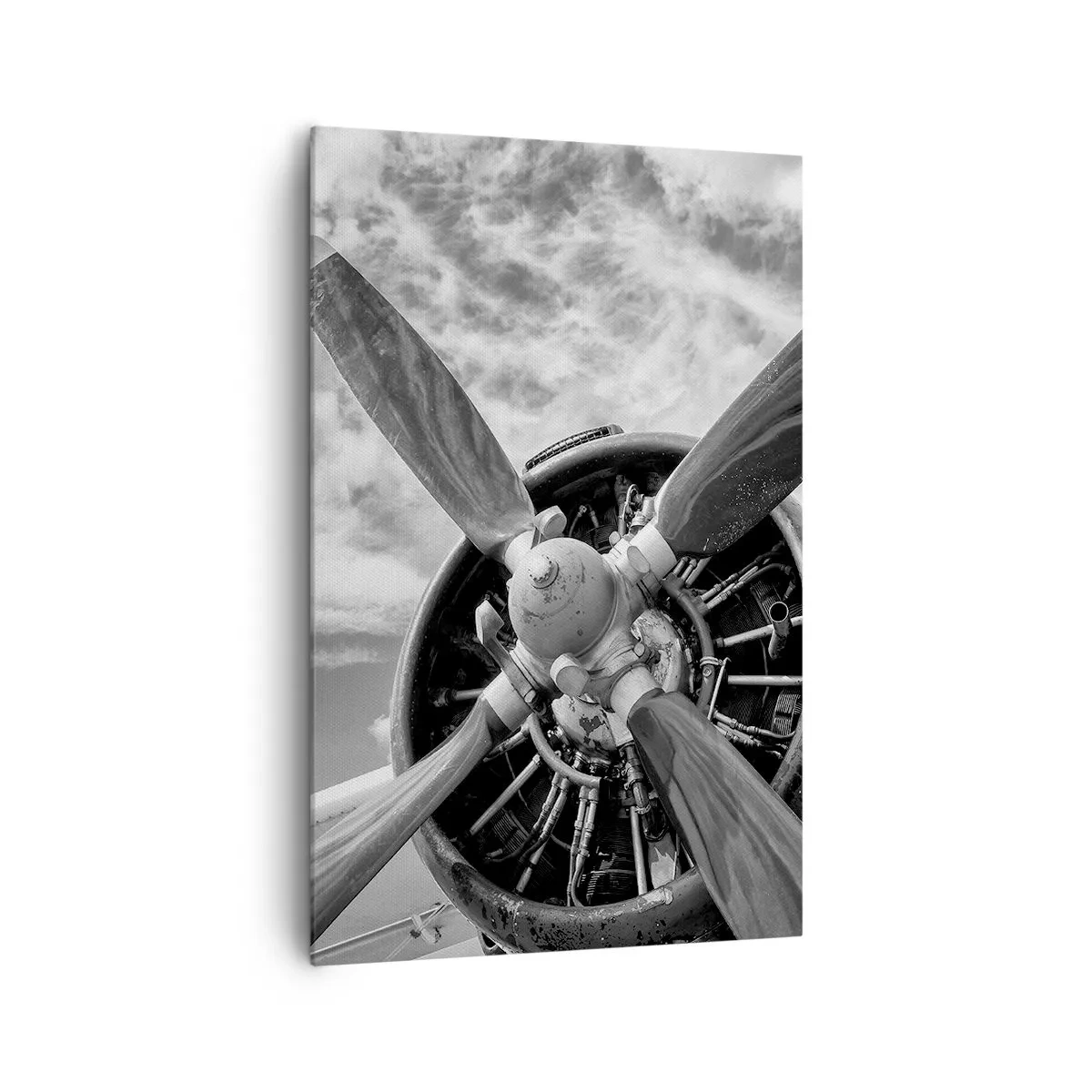 Obraz na plátne - Dobyvateľ oblohy - 80x120 cm