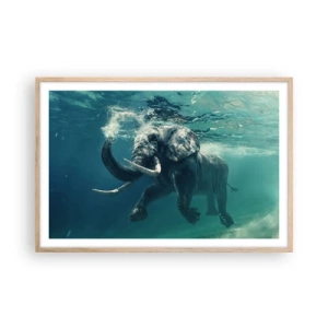 Plagát v ráme zo svetlého duba - Všetci radi plávajú - 91x61 cm