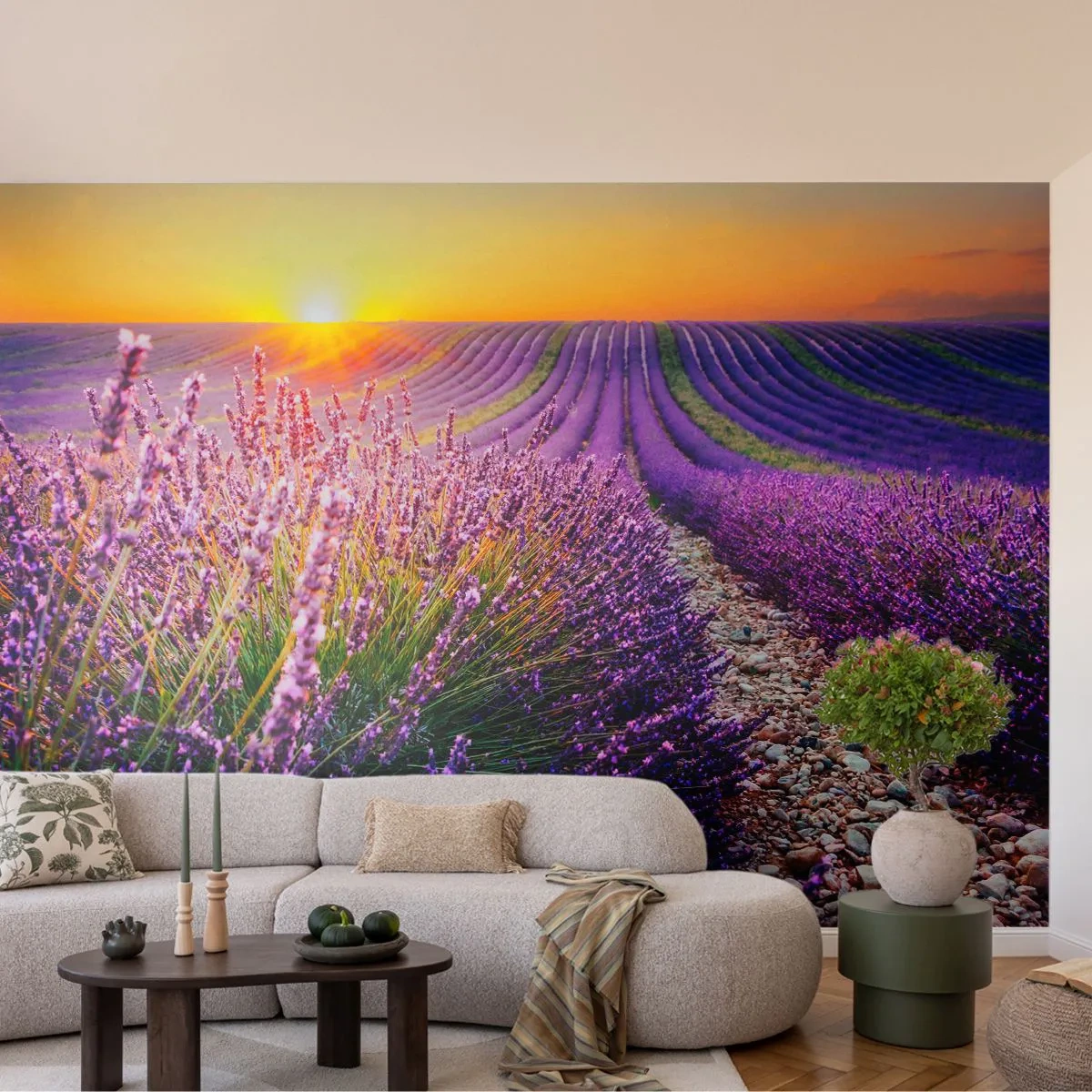 Fototapeta Premium Canvas - Voňavý lán - Krajina, Levanduľové pole, Provence - 300x210 cm
