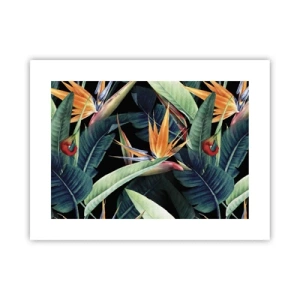 Plagát - Plamenné kvety trópov - 40x30 cm