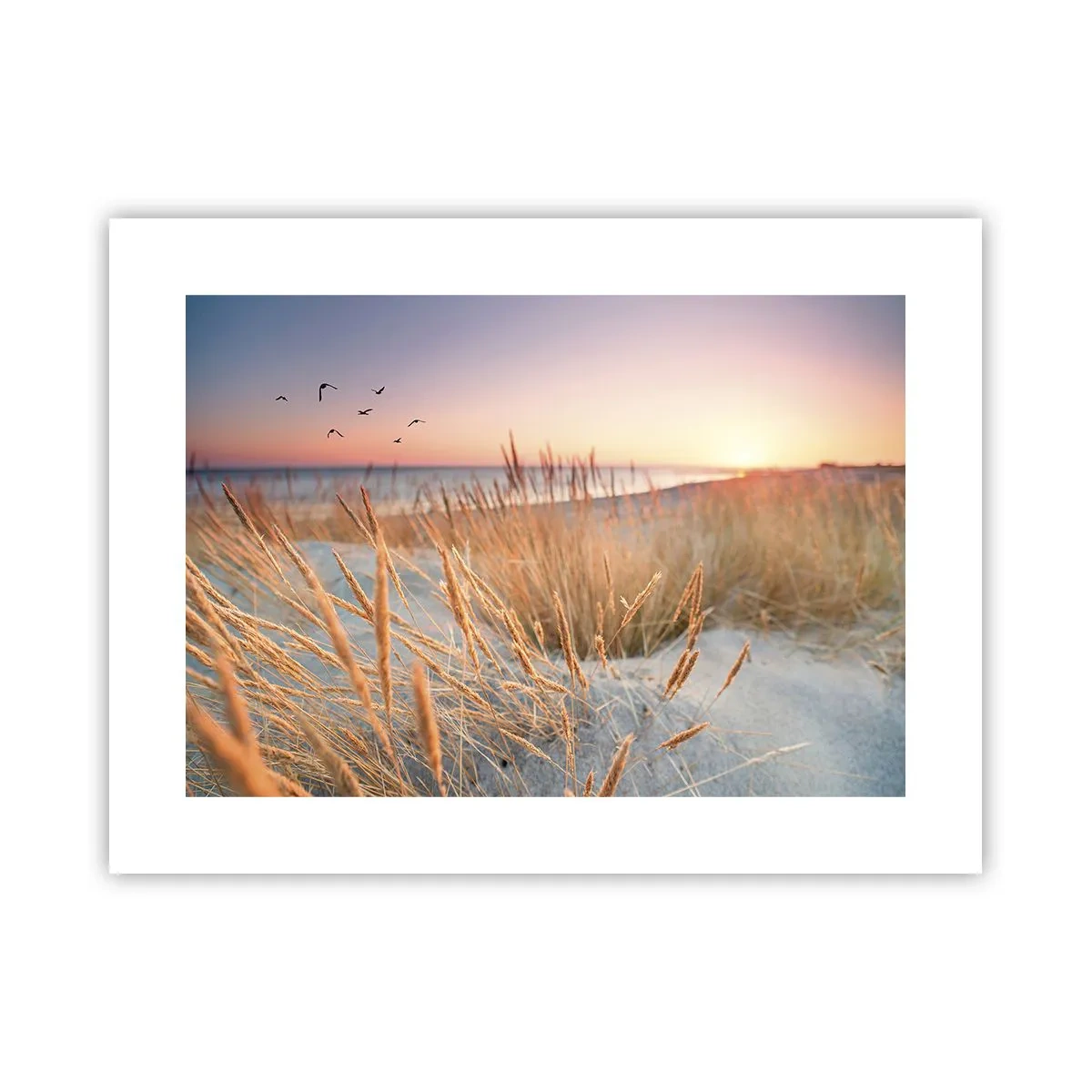 Plagát - Baltská uspávanka - 40x30 cm