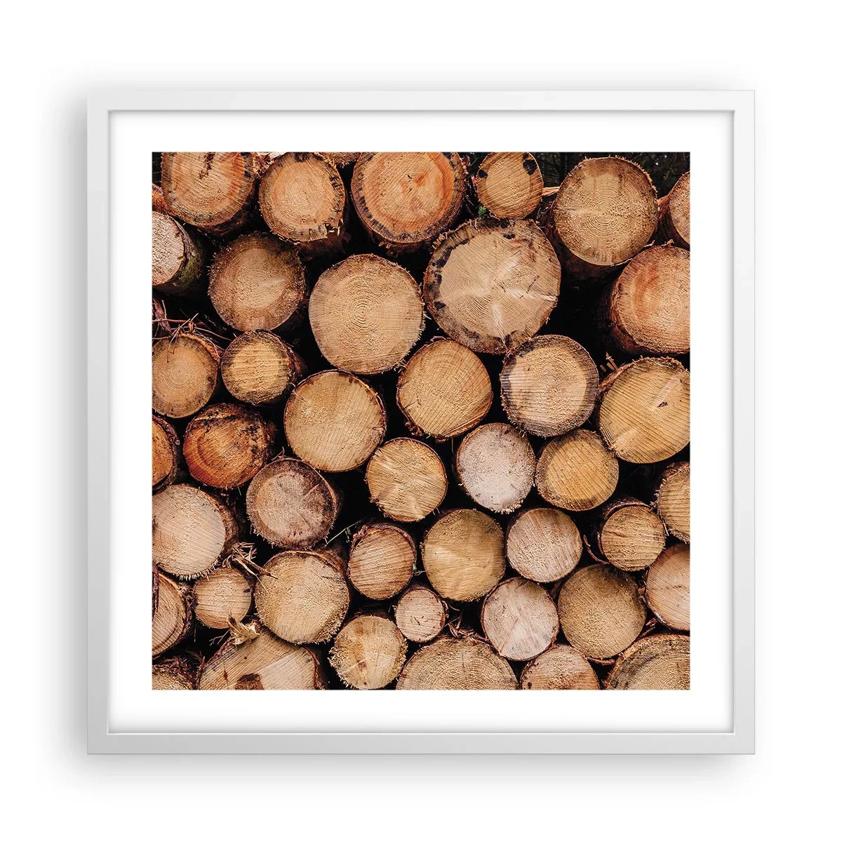 Plagát v bielom ráme - Nový začiatok - 50x50 cm