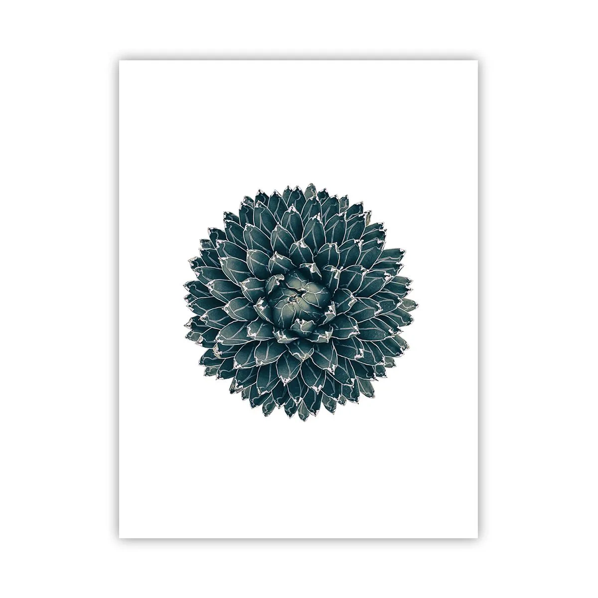 Plagát - Hviezda púšte - 30x40 cm