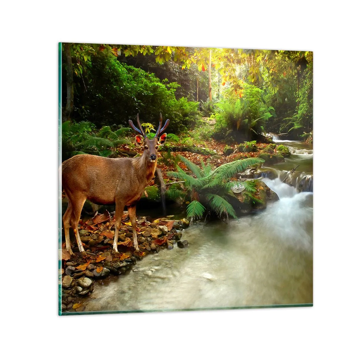 Obraz na skle - Vítajte v mojom svete - 50x50 cm