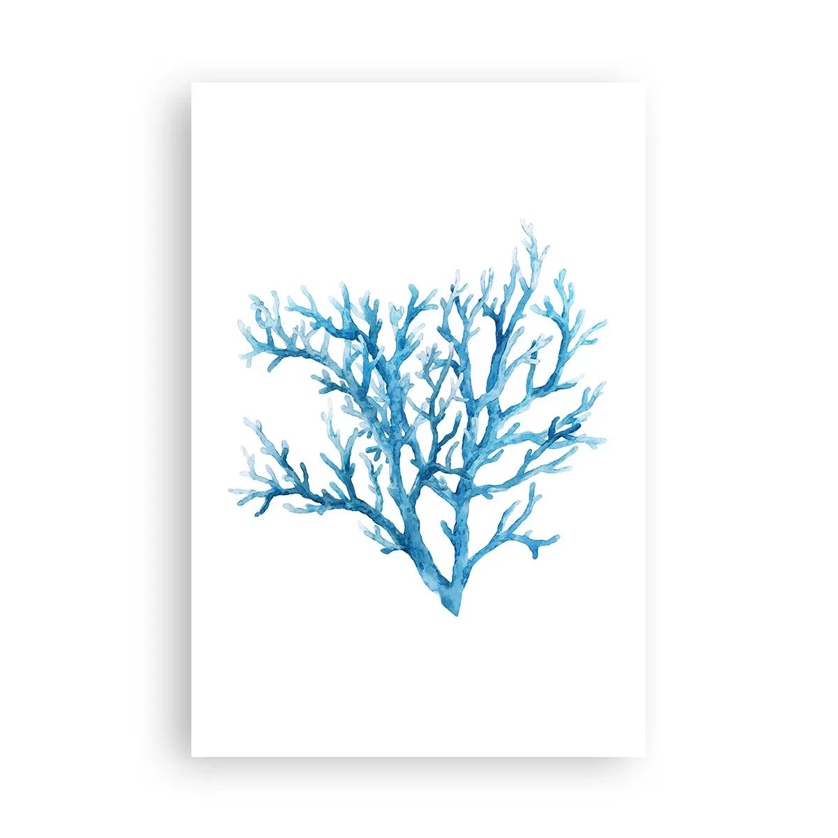 Plagát - Morský filigrán - 61x91 cm