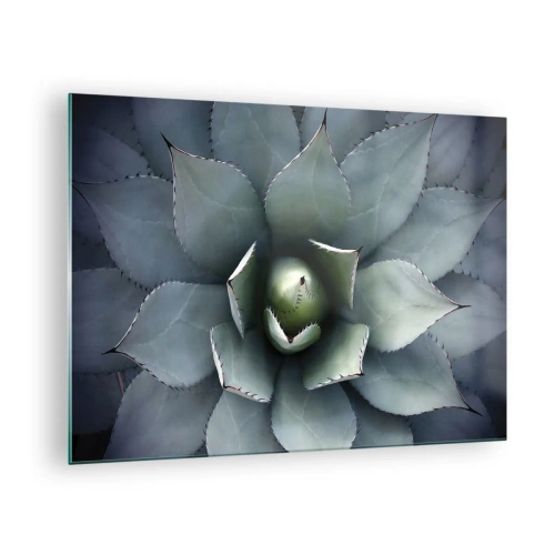 Obraz na skle - Detailný záber na symetrické, oceľovo sfarbené listy agáve. - 70x50cm - Zvádza a varuje - Moderná nástenná dekorácia do obývacej izby a spálne ARTTOR