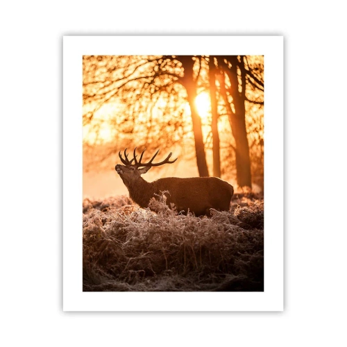 Plagát - Sen poľovníka - 40x50 cm