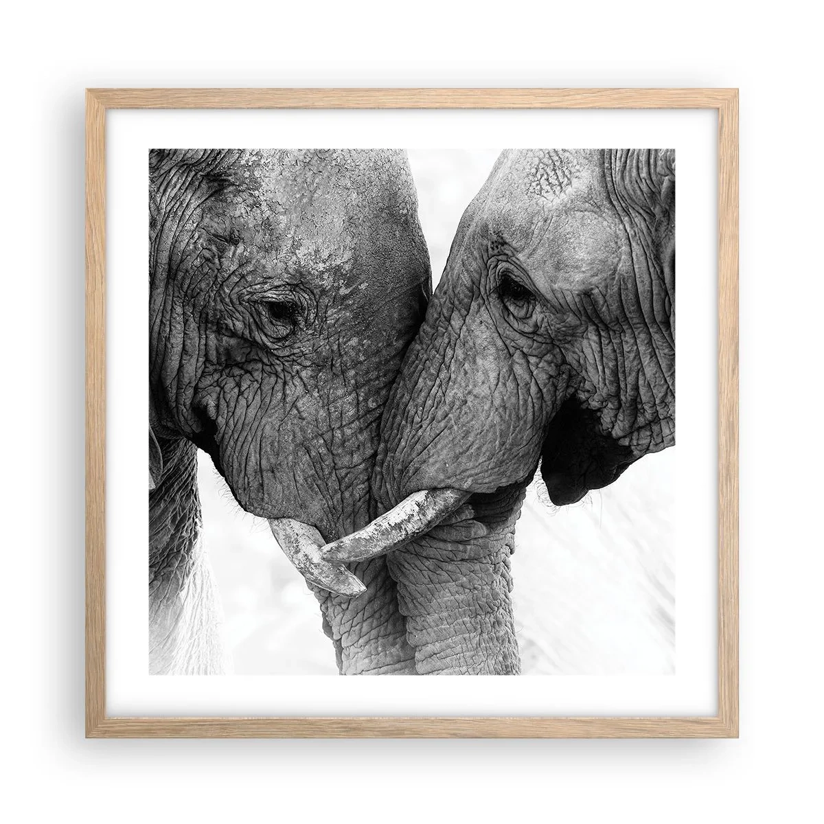 Plagát v ráme zo svetlého duba - Úprimné vyznanie - 50x50 cm