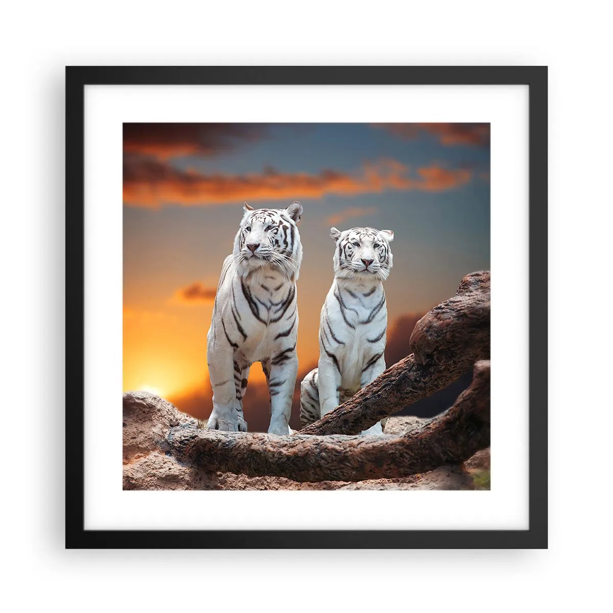 Plagát v čiernom ráme - Úplne ako v Narnii - 40x40 cm