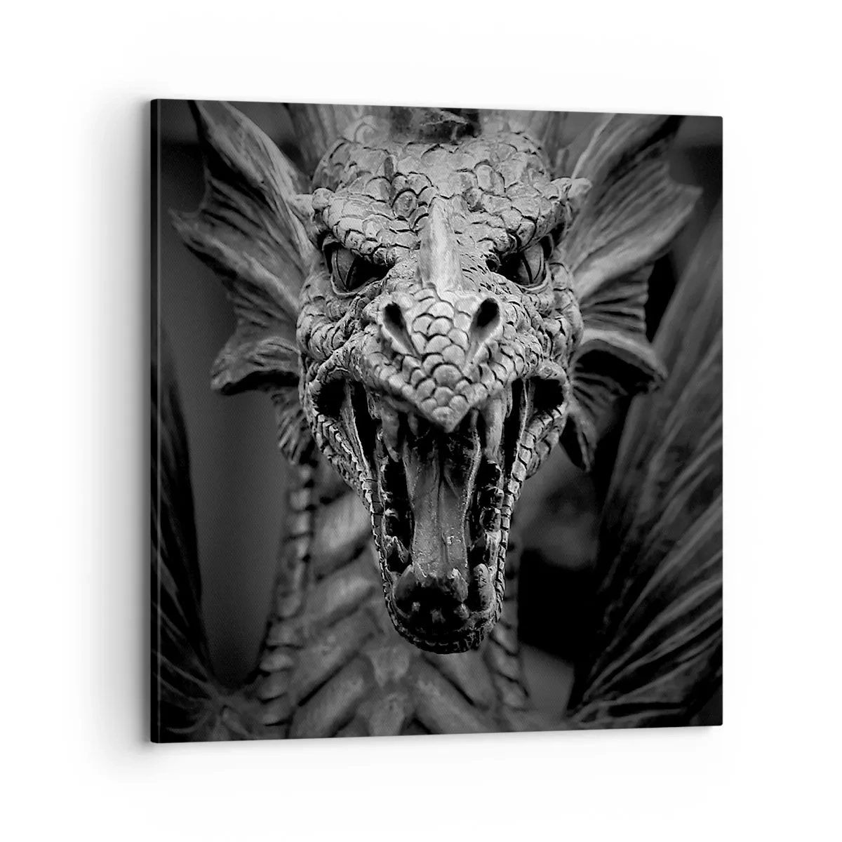 Obraz na plátne - Rozprávkový drak v šedi - 70x70 cm