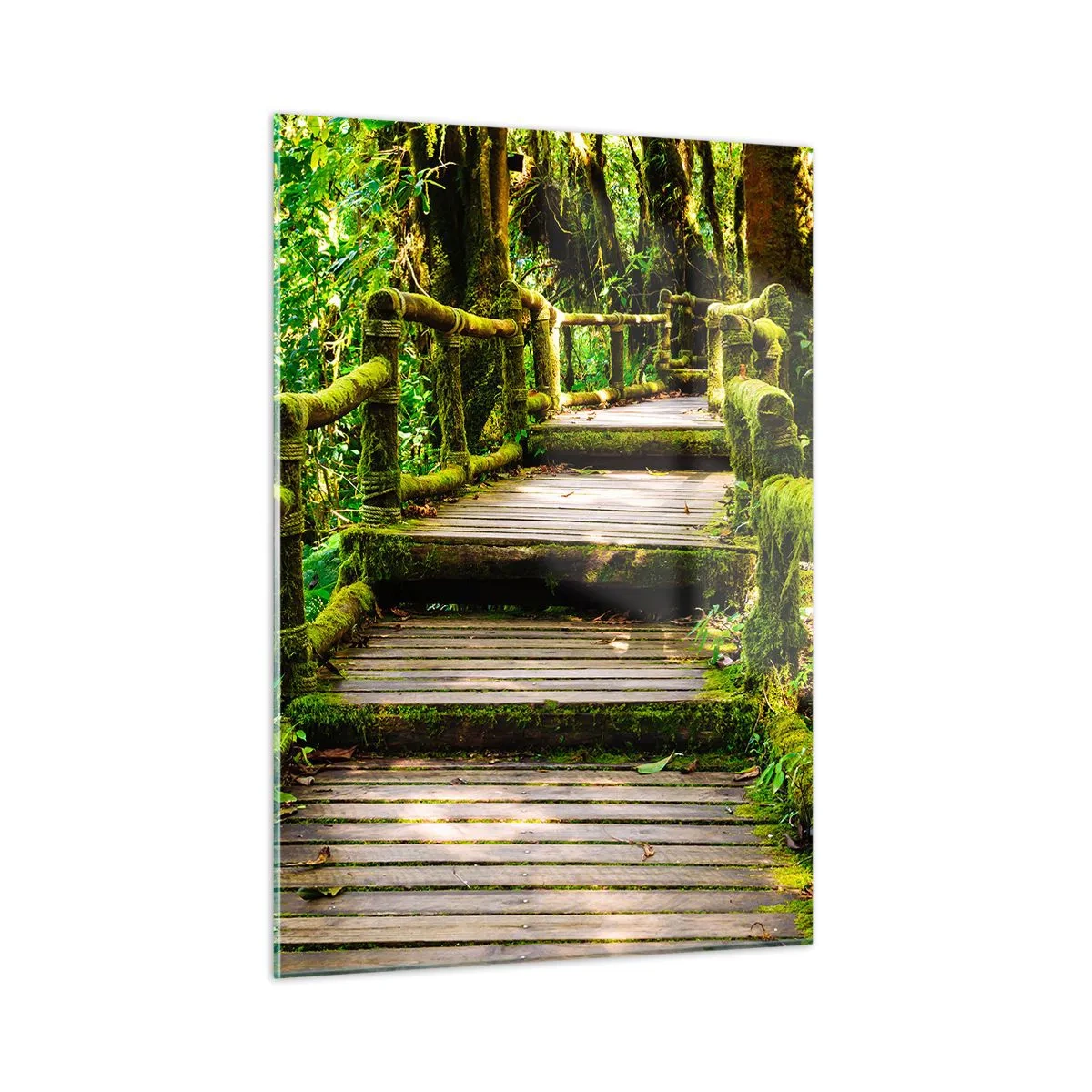Obraz na skle - Chodbou zelene - 50x70 cm