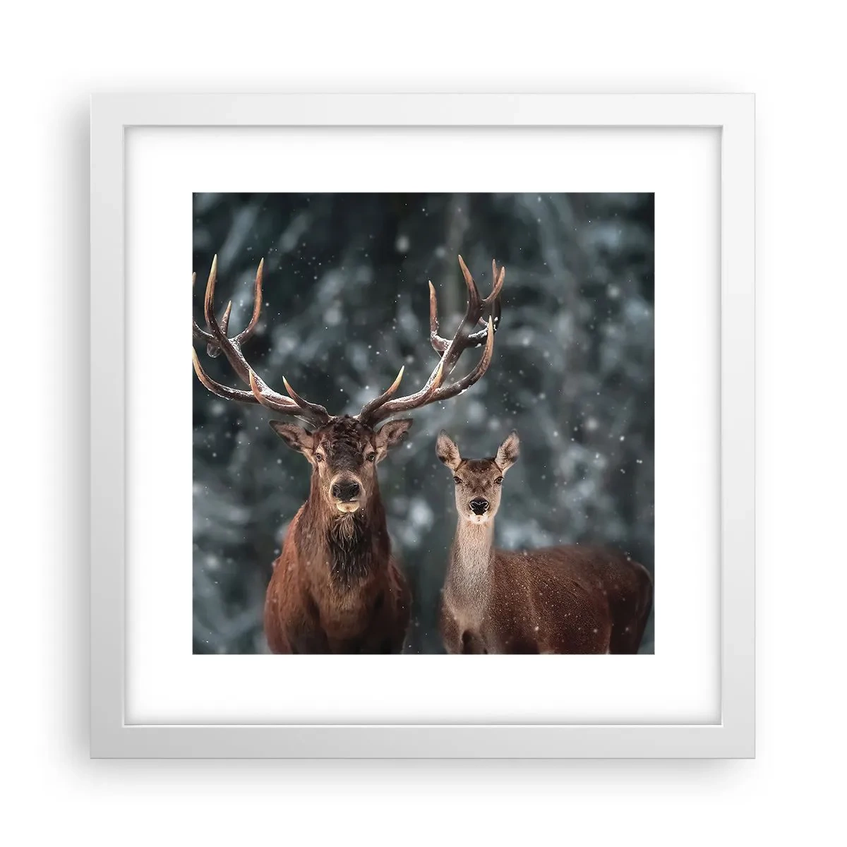 Plagát v bielom ráme - Pán lesa so svojou ženou - 30x30 cm