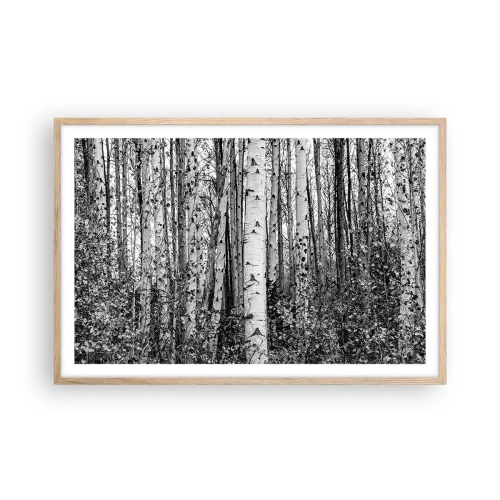 Plagát v ráme zo svetlého duba - Brezová kolonáda - 91x61 cm