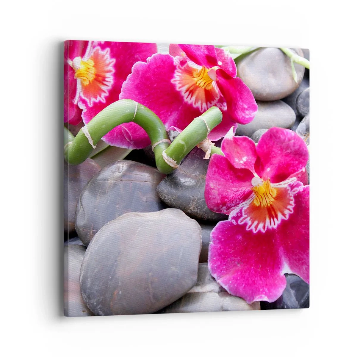 Obraz na plátne - Chlad a žiara - 40x40 cm