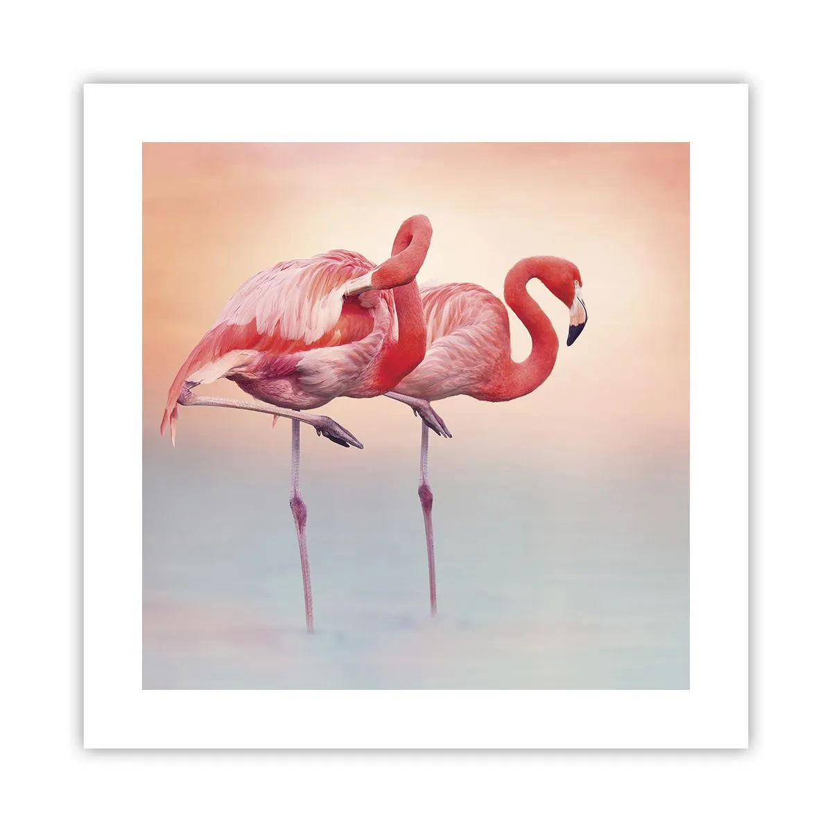 Plagát - Vo farbe zapadajúceho slnka - 40x40 cm