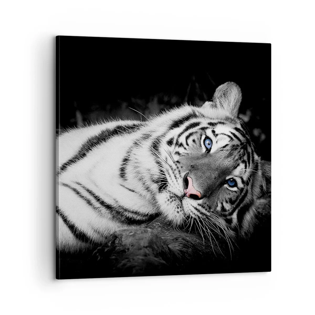 Obraz na plátne - Divočina a pokoj - 60x60 cm